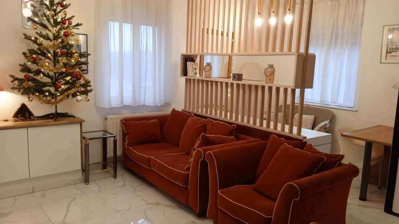 Liege 4420 Rue Jean Jaures 45 Grande Maison Joyeuse Avec Terrasse 30M2 Pour 8 Personnes Maximum Saint-Nicolas  Екстер'єр фото